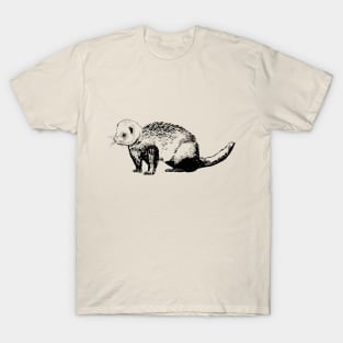 ferret T-Shirt